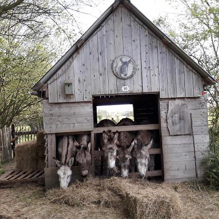Chambres D'Hotes Cote Campagne Vaux-sur-Aure Exterior photo